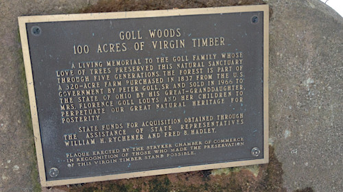 Goll Woods Placque